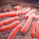 Un modelo predice que la tuberculosis aumentará en el futuro