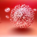 Científicos constatan que el virus del constipado destruye células madre del tumor cerebral