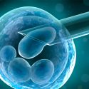 Experimentando con embriones humanos (cronología y desafió bioético)
