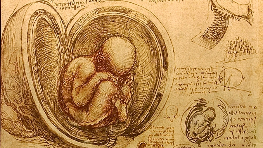 El manuscrito que Leonardo Da Vinci hizo junto al llamado “maestro de la muerte”
