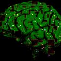 En el laberinto de la mente artificial: Investigadores tras la clave de cómo funciona el cerebro para reproducirlo o entenderlo