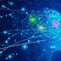 Descubren un "tesoro" de genes relacionados con la inteligencia humana