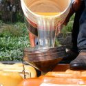 Senado aumenta penas por robo y comercialización de hidrocarburos