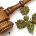 Legalización de la marihuana tradicional redujo el consumo de opioides en EU