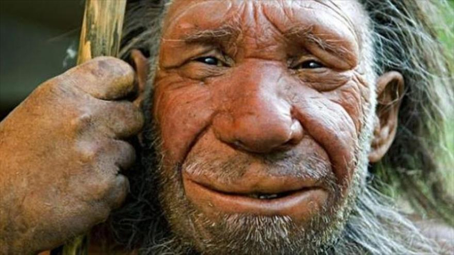 Resuelto el enigma de la nariz del neandertal: para sobrevivir el frío