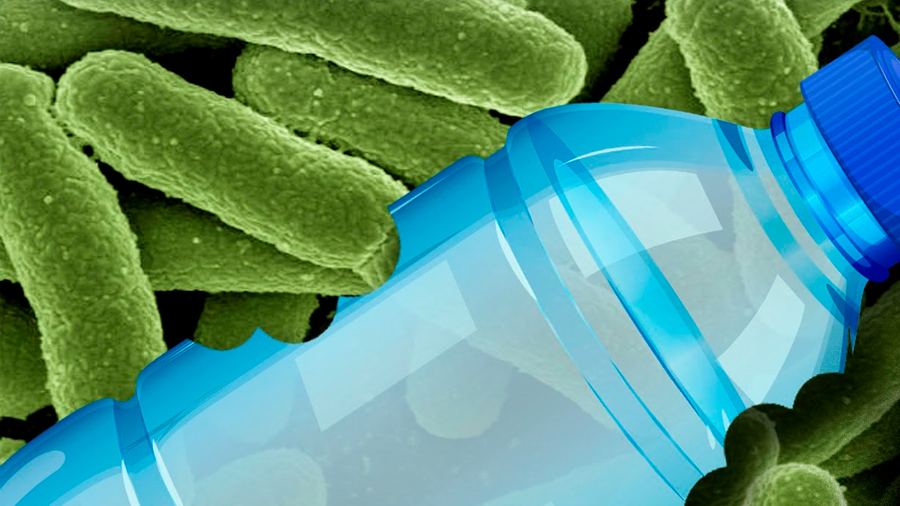 Descubren científicos japoneses bacteria que come plástico