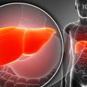 Descubren proteína responsable de la regeneración del hígado