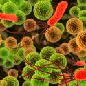 Científicos descubren antibiótico que elimina bacterias sin desarrollar resistencia