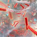 Desvelan cómo estalla la resistencia a los antibióticos en las bacterias más agresivas