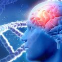 Un gen que provoca Alzheimer ha sido neutralizado por primera vez en células humanas cerebrales