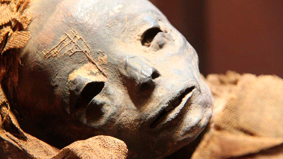 Por primera vez se descubre la identidad de una momia a través de ADN