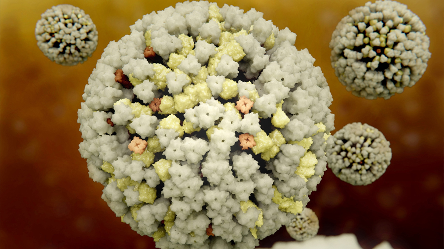 Cómo es la carrera por descubrir nuevos virus antes de que sean pandemia