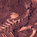 Hallan restos de perros que vivieron con humanos hace 10.000 años