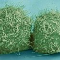Increíble vídeo muestra por primera vez células individuales moviéndose dentro de un ser vivo