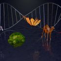 Consorcio mundial de científicos busca secuenciar el genoma de todas las especies del orbe