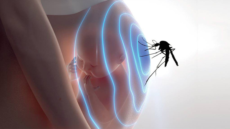 Científicos de EU descubren cómo evitar contagio de Zika en madres, pero no en fetos