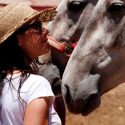 Los caballos recuerdan expresiones emocionales de personas que han visto antes, afirma estudio
