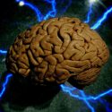 Químicos diseñaron sustancias capaces de aumentar la memoria en el cerebro