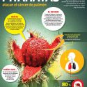Pitahayas atacan el cáncer de pulmón