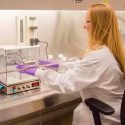 "Microfactorías vivientes" algún día reemplazarán a muchas inyecciones
