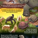 La tortuga más solitaria del mundo