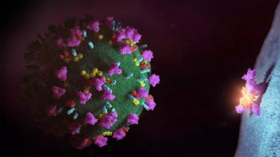 Japoneses 'editan' genes en busca de respuestas contra el VIH