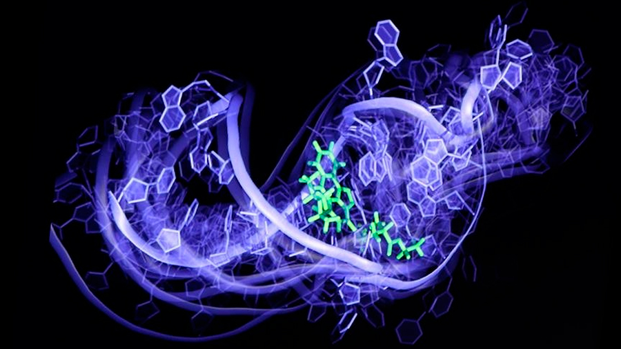 Películas moleculares de ARN guían el descubrimiento de fármacos