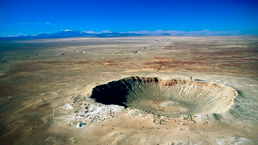 La vida resurgió a los pocos años en el cráter del asteroide Chicxulub
