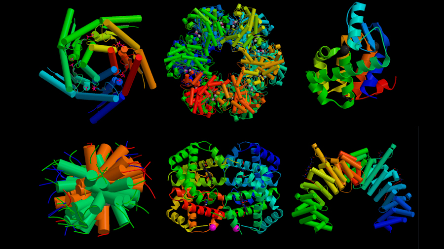 Unos químicos sintetizan millones de proteínas que no existen en la naturaleza