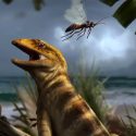 Identifican al lagarto más antiguo del mundo, padre de todas las lagartijas y serpientes