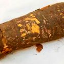 Una minimomia egipcia de supuesto halcón resulta ser un feto humano malformado