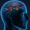 Descubren el secreto genético que potenció la inteligencia humana