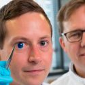 Crean córneas artificiales impresas en 3D
