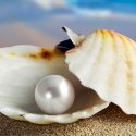 El sorprendente proceso que permite a las ostras hacer perlas