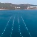 Mira este impresionante ballet acuático con 56 robots flotantes en China