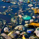 La basura como una expresión de evasión