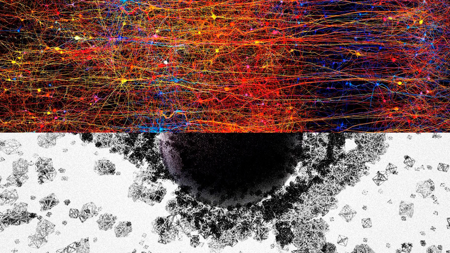 El cerebro crea estructuras neuronales con 11 dimensiones cuando procesa información