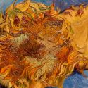 Los girasoles de Van Gogh van a marchitarse, según un estudio de rayos X