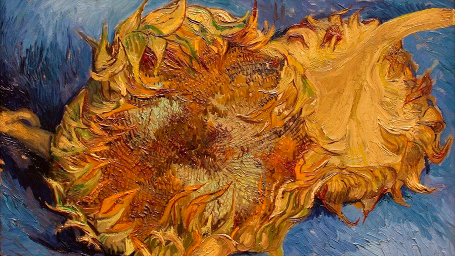 Los girasoles de Van Gogh van a marchitarse, según un estudio de rayos X