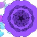 Logran alterar células y formarles compartimientos artificiales sin alterar su sistema metabólico