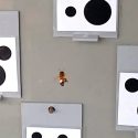 Descubren que las abejas saben lo que es el número cero