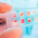 Biopsia líquida, la gran esperanza para controlar el cáncer
