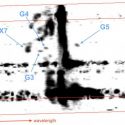 Astrónomos detectan más objetos misteriosos en el centro de la galaxia