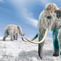 La cada vez más cercana posibilidad de clonar especies de animales extinguidas