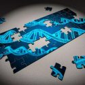 Los virus gigantes se inventan sus propios genes