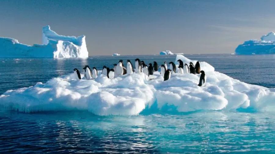 La Antártida, responsable de dos quintos del aumento del nivel del mar