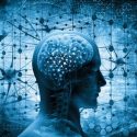 Descubren funciones de un gen relacionado con el Mal de Alzheimer