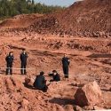 Científicos logran identificar un nuevo antecesor de los mamíferos
