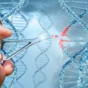 La técnica estrella de edición genética puede incrementar el riesgo de cáncer