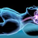 Descubren los cambios neuronales que explican la necesidad de dormir